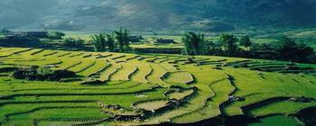 Travelers with Sapa Town and local villages